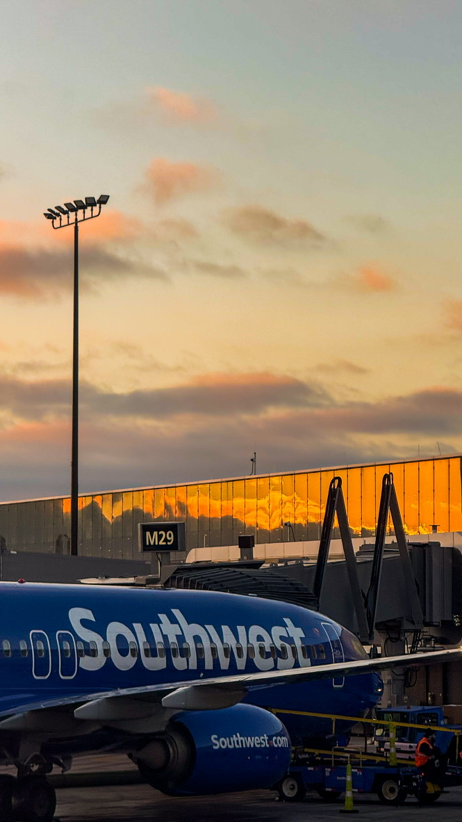 Photography showcase